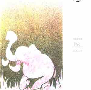 二階堂和美 + モユニジュモ - Live 08/Feb/2003