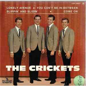 The Crickets  - Lonely Avenue