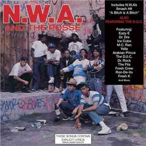 Various - N.W.A. And The Posse