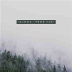 Colonies - Forest Floor