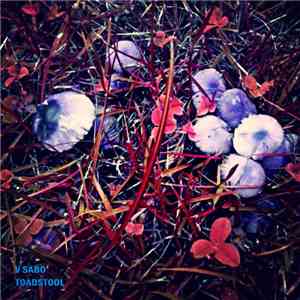 V Sabo - Toadstool