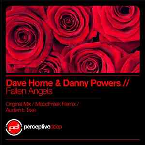 Dave Horne & Danny Powers  - Fallen Angels