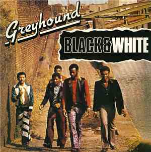 Greyhound  - Black & White
