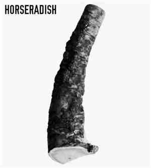 Horseradish - Demo