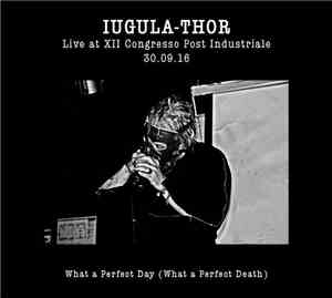 Iugula-Thor - Live at XII Congresso Post Industriale / What a Perfect Day ( ...