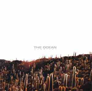 The Ocean  - Fogdiver