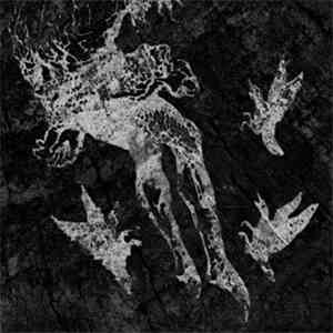 Agalloch - From Which Of This Oak