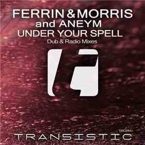 Ferrin & Morris And Aneym - Under Your Spell