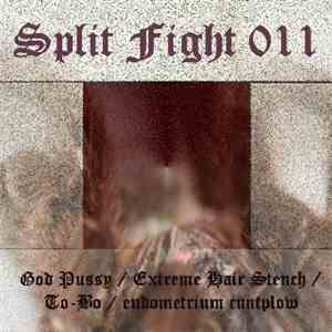 God Pussy / Extreme Hair Stench / To-Bo / Endometrium Cuntplow - Split Figh ...