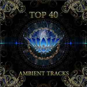 Various - Top 40 Ambient Tracks