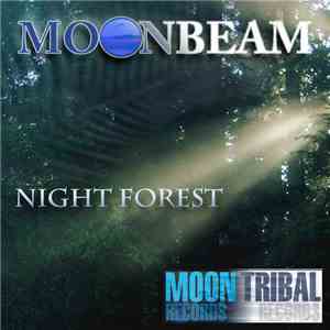 Moonbeam - Night Forest