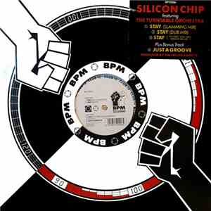 Silicon Chip - Stay