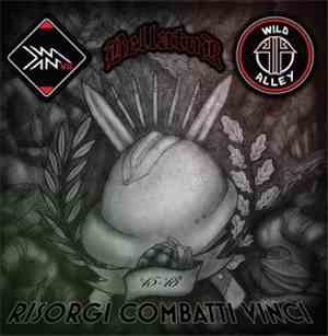 Wild Alley / Bellator  / KMVII - Risorgi, Combatti, Vinci