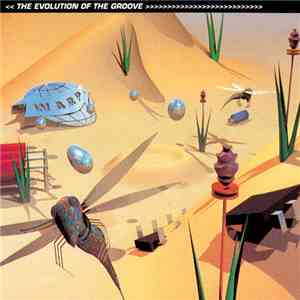 Various - The Evolution Of The Groove
