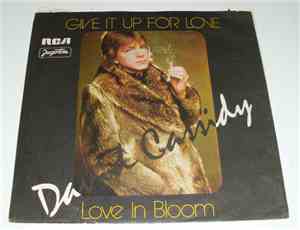 David Cassidy - Get It Up For Love