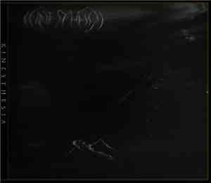 Kinesthesia  - Kinesthesia