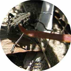 Artificial Memory Trace - Chitin