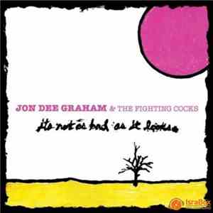 Jon Dee Graham & The Fighting Cocks - It's Not As Bad As It Looks