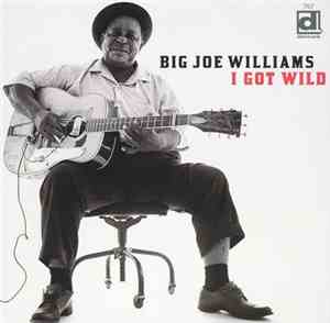 Big Joe Williams - I Got Wild
