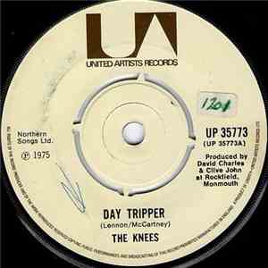 The Knees - Day Tripper