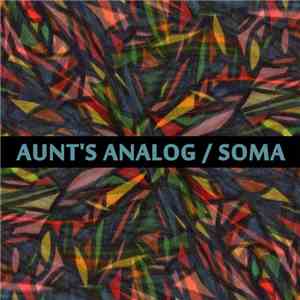 Aunt's Analog / Soma  - Aunt's Analog / Soma