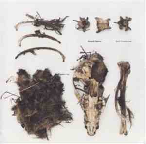 Grand Salvo - Soil Creatures