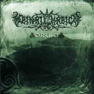 Heinrichreich - Druid
