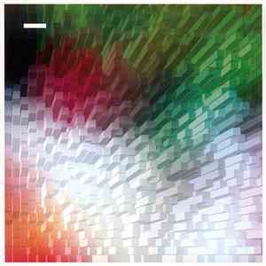 Various - Untitled
