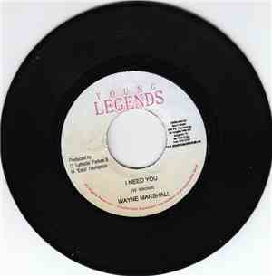 Wayne Marshall / Terro 3000 - I Need You / All Over Me