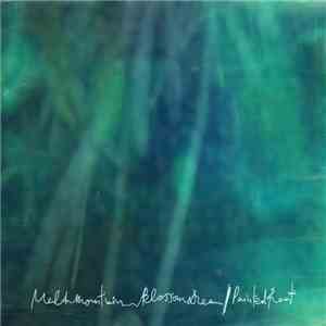 Melt Mountain - Blossom Dream / Painted Root
