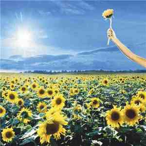 Stone Temple Pilots - Thank You