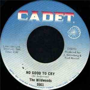 The Wildweeds - No Good To Cry