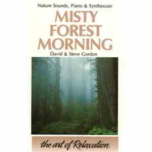 David & Steve Gordon - Misty Forest Morning