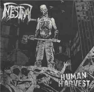 Intestinal - Human Harvest