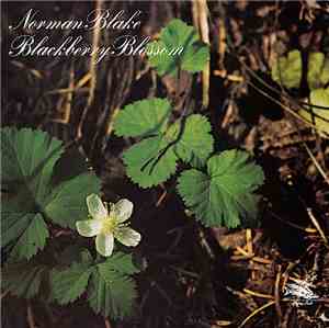 Norman Blake  - Blackberry Blossom