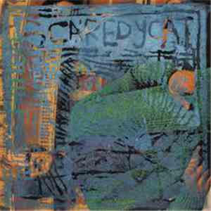 Scaredycat - Many Coloured Silks