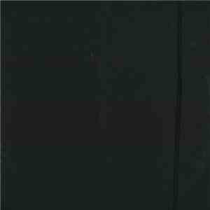 Time Traveler  - Chapter V: Chronicles From 1957