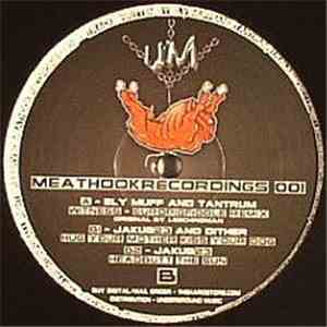 Ely Muff / Tantrum  / Jakub 23 / Dither  - Meathook Recordings 001