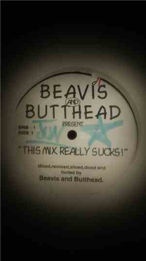 Beavis & Butt-HeadGive The D.J. A Break - This Mix Really Sucks!/Latin Hous ...