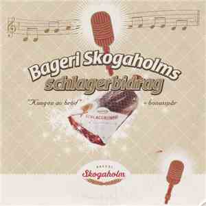 David Lundberg  - Bergi Skogaholms Schlagerbidrag 