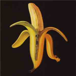 The Dandy Warhols - Welcome To The Monkey House
