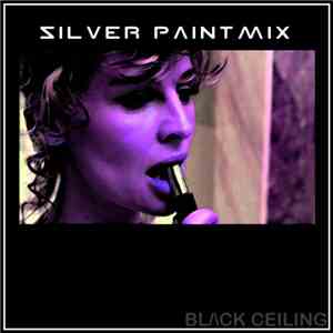 Bl/ck Ceiling - Silver Paint Mix