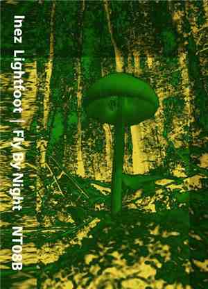 Inez Lightfoot - Fly By Night