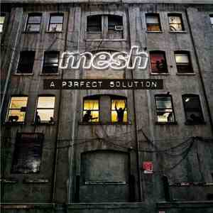 Mesh  - A Perfect Solution