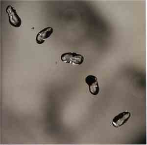 Peter Gabriel - Up