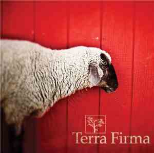 The Flashbulb - Terra Firma