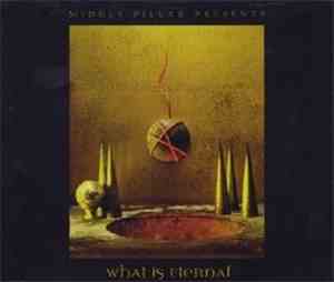 Various - What Is Eternal