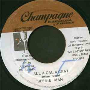 Beenie Man - All A Gal A Chat