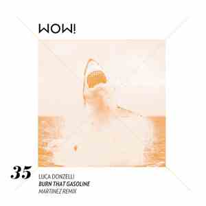 Luca Donzelli - Burn That Gasoline