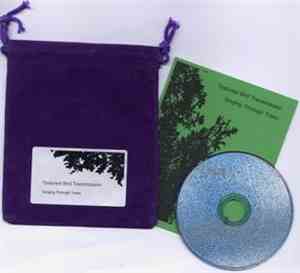 Textured Bird Transmission - Singing Through Trees